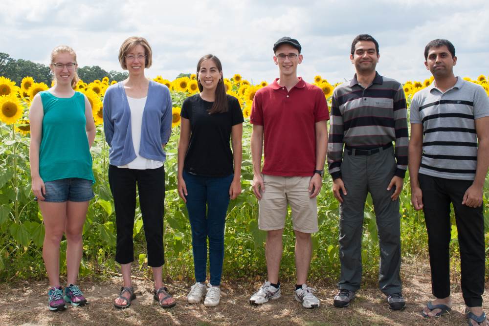 UWCEM @ Sunflower Days